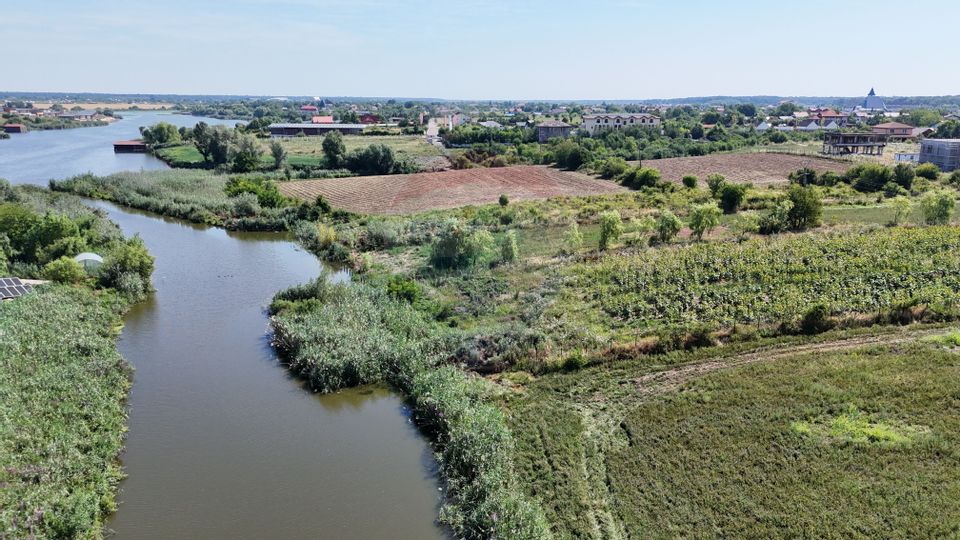 Land 5,000sqm Ciofliceni / Strada Radu cel Mare