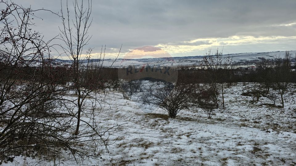Teren 10,000mp Rădășeni / Șoseaua DN2-E85, județul Suceava