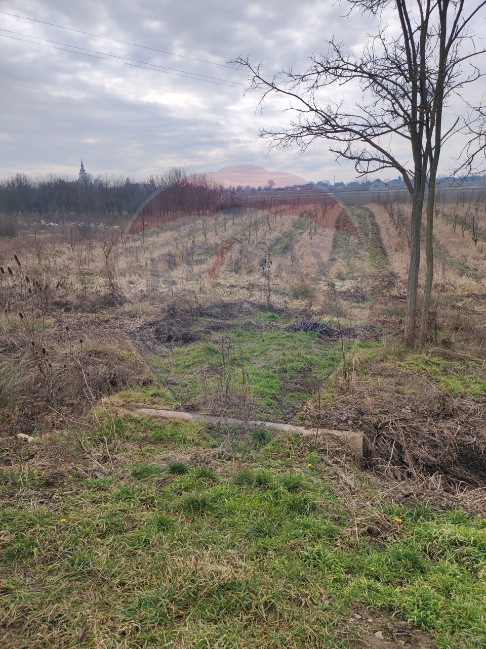 Teren 2.341 mp Uileacu de Munte front 26 ml la drum asfaltat