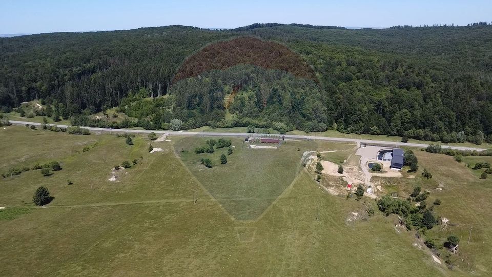 Land 5,561sqm Paltinoasa / Strada principala