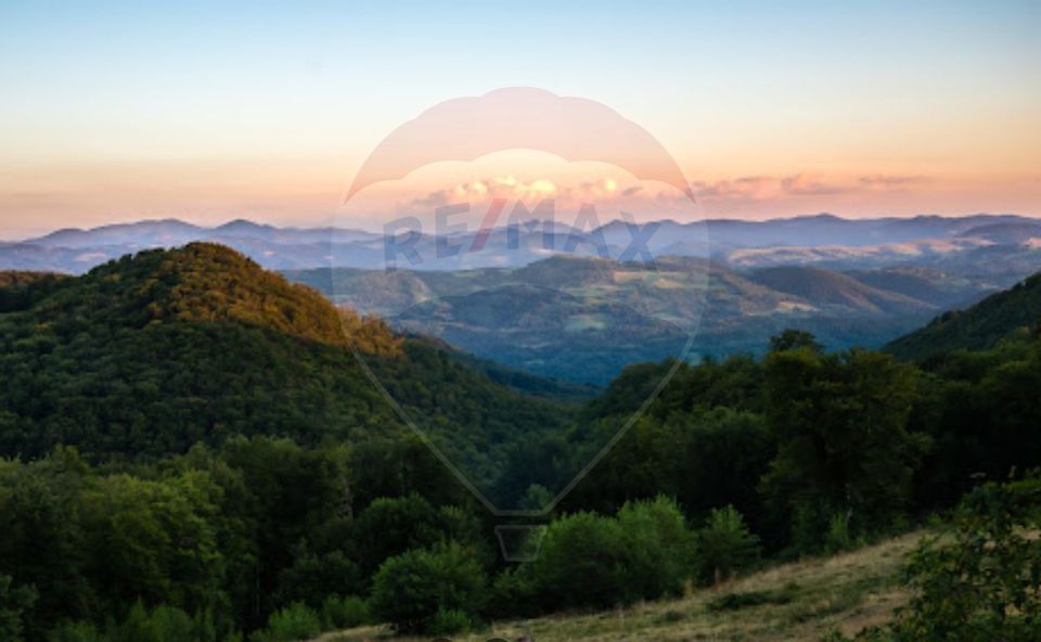 Vanzare Padure 2200 hectare în Romania