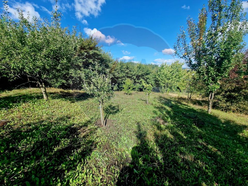 Land 2,000sqm Piatra-Neamt / Strada Pietrelor