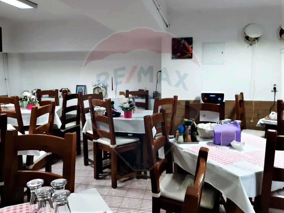 18 room Hotel / Pension for sale, Bucurestii Noi area