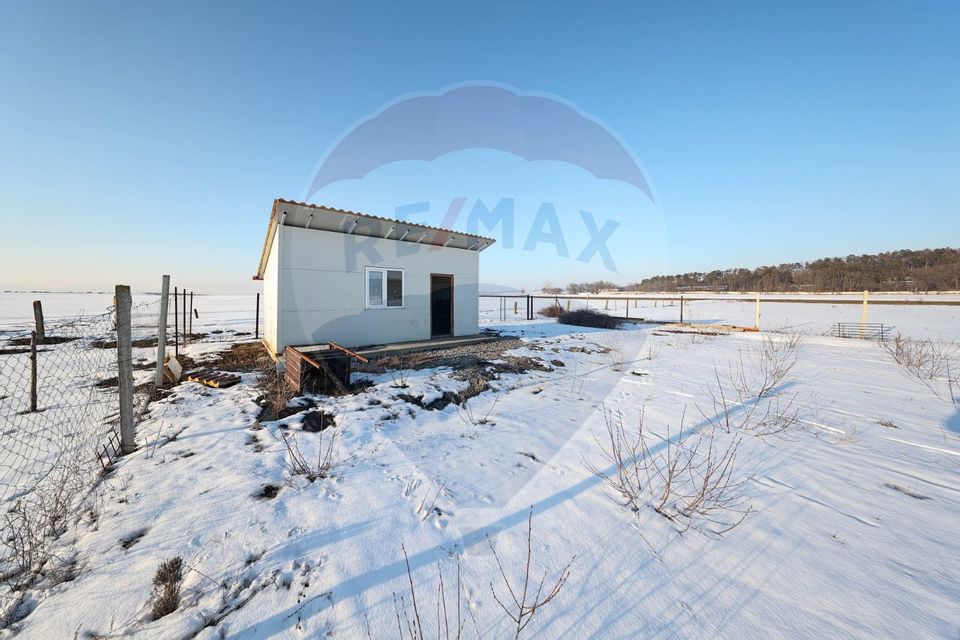 Teren cu plantatie de aronia