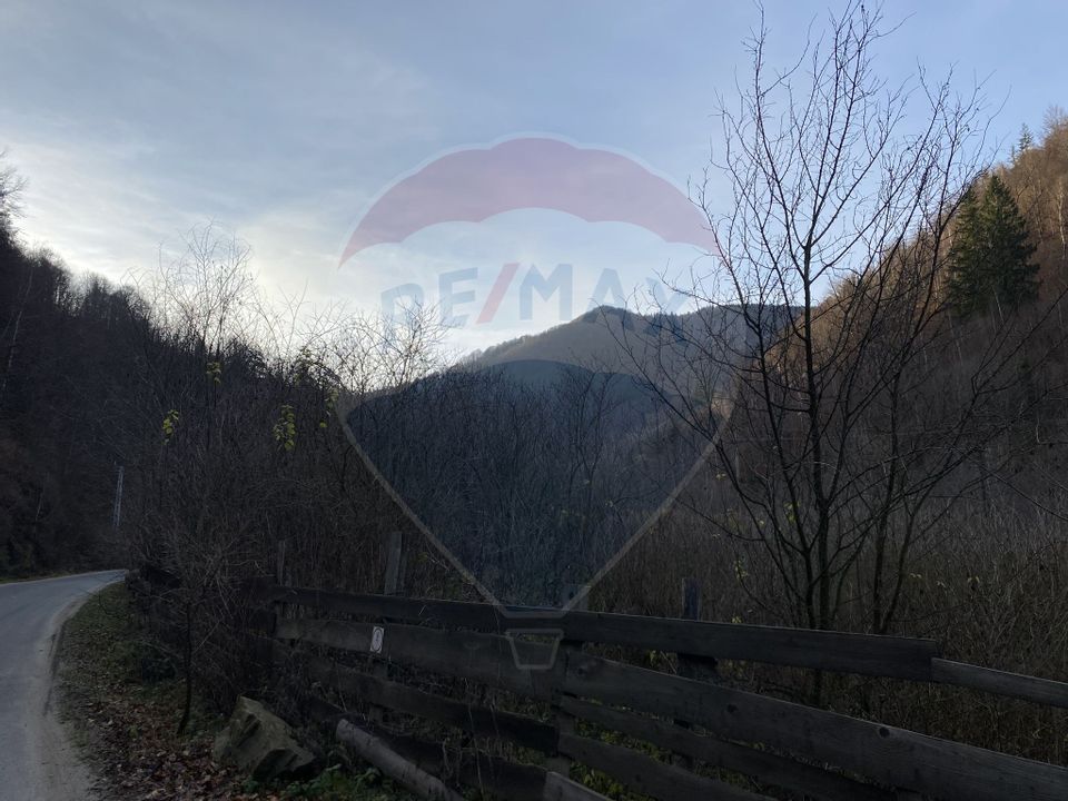Land 1,000sqm Valea Ierii / Drumul Principala