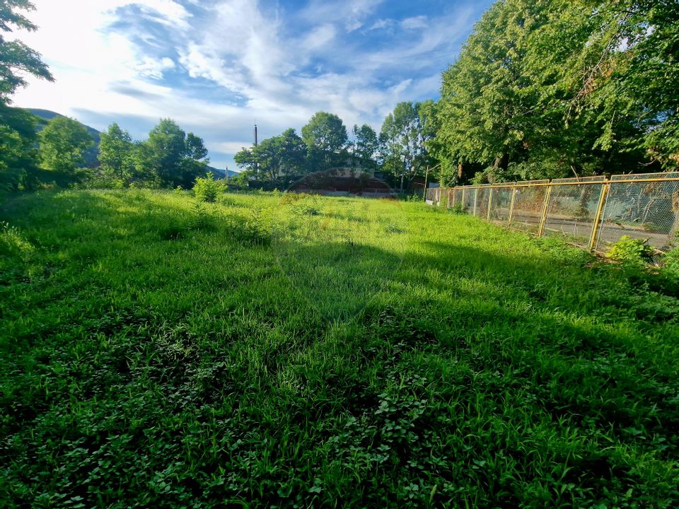 Teren 1,749mp Piatra-Neamt / Strada Zambilelor