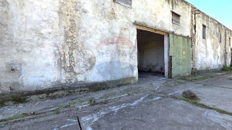 Vânzare hală industrială în Colonia Bod, județ Brașov