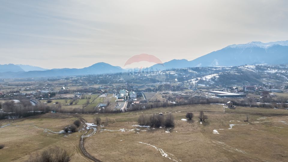 Land 4,500sqm Tohanu Nou / Strada Cernilei