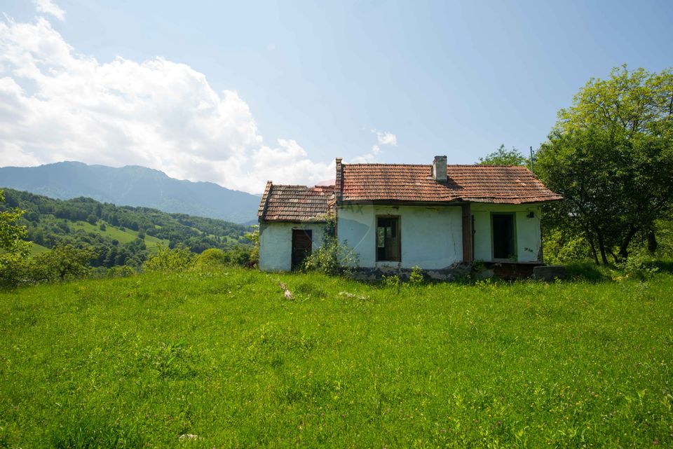 Land with utilities, 5,495sqm Bran - panoramic view, near Bran Castle