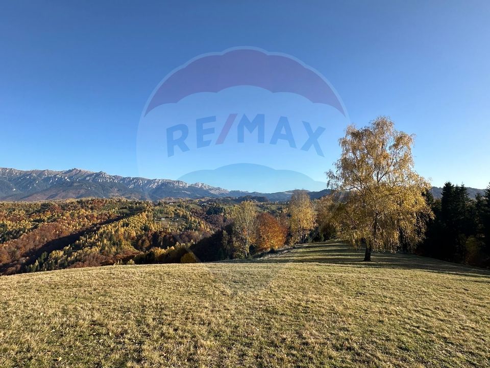 Investment opportunity ! Dream land in Pestera - 125,370 sqm