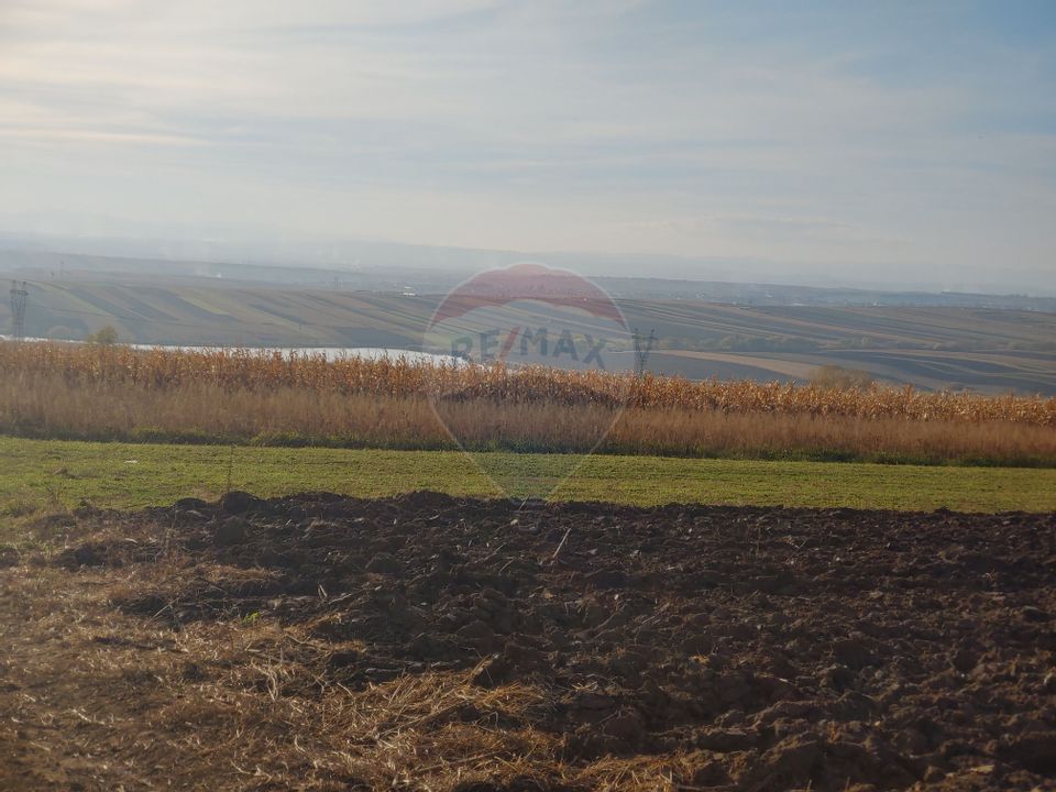 Land 2,950sqm Suceava / Drumul principal