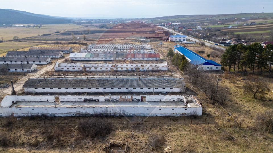 Teren  intravilan in sat Zapodia, com. Traian, jud. Bacău, 39.600mp,