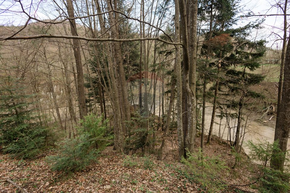 Proprietate unică în Tarcău – 30.283 mp intravilan, casă P+M