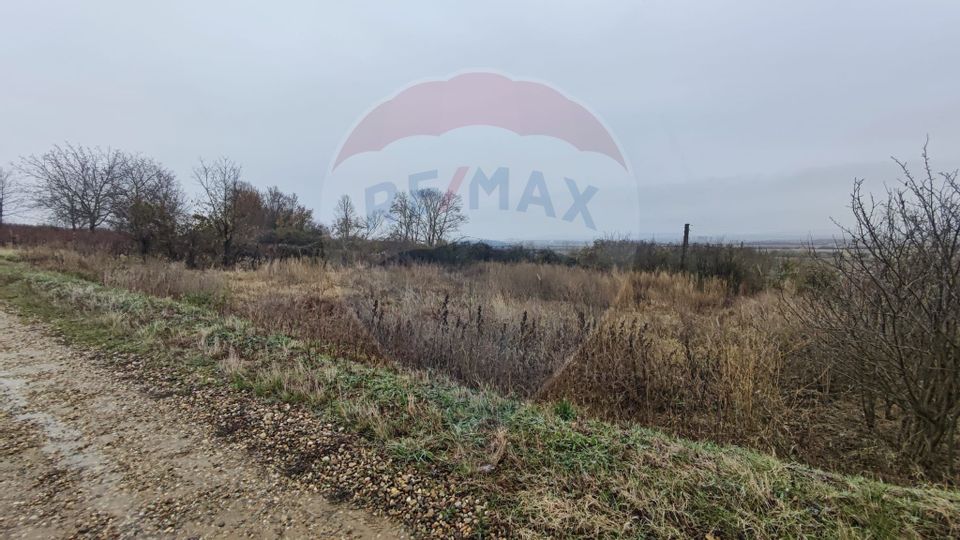 Land 12,818sqm Santimreu / Strada Principala