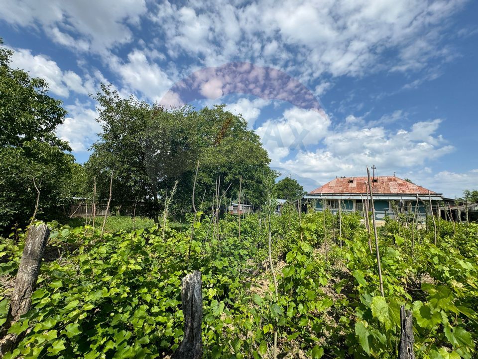 Casă de vanzare Prajesti/Traian - Bacau