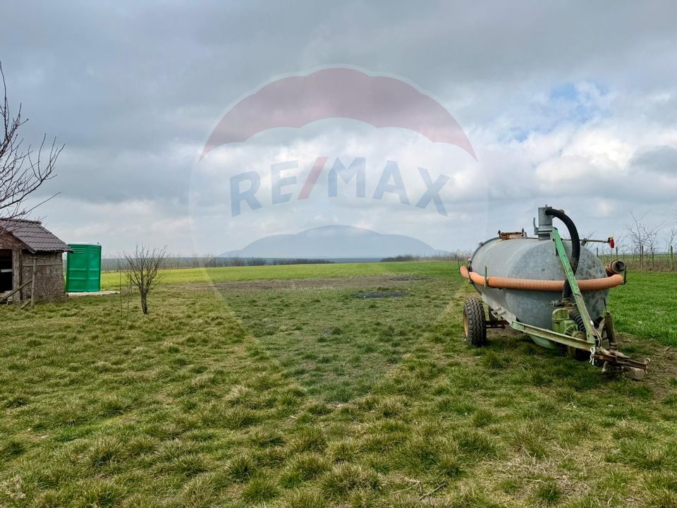 Teren extravilan Săcele ideal pentru silozuri, fermă sau investiție