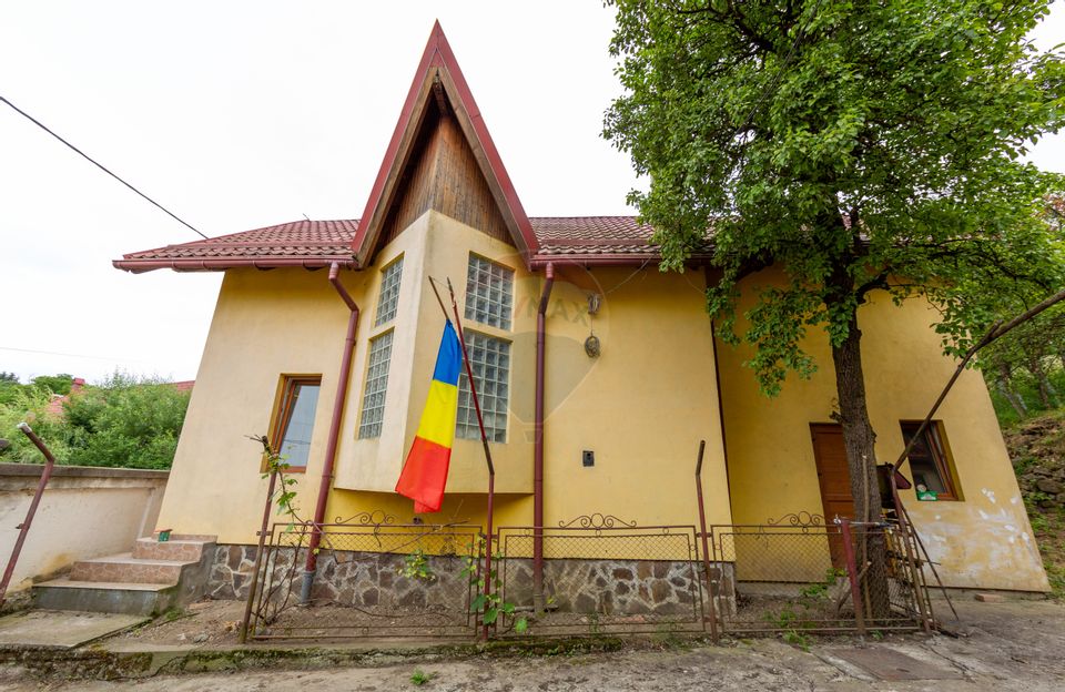 Două Case, O Singură Oportunitate – Viață Liniștită la Țară
