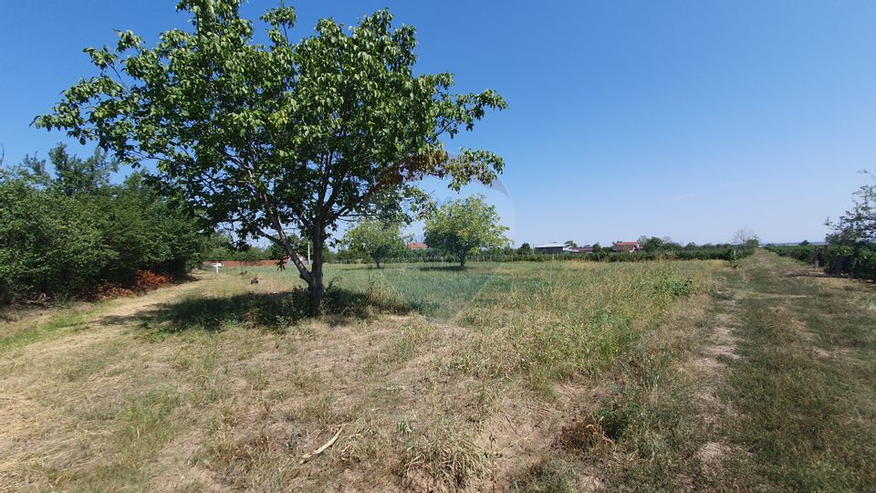 Land 3,555sqm Dragosloveni (Dumbraveni) / Strada Alexandru Vlahuta