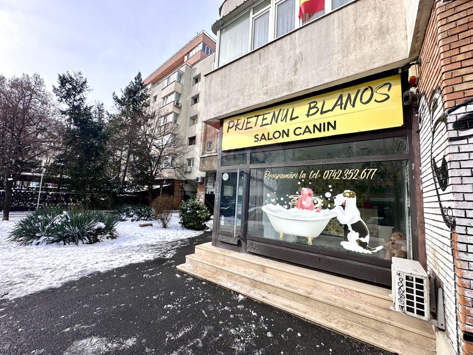 55.75sq.m Commercial Space for rent, Mosilor area