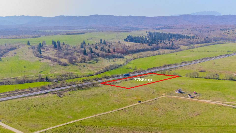 Teren 7786 mp/Curți construcții/Benzinărie