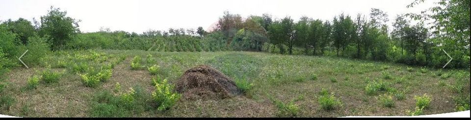 Teren 6,890mp Crasna / Strada Crasna