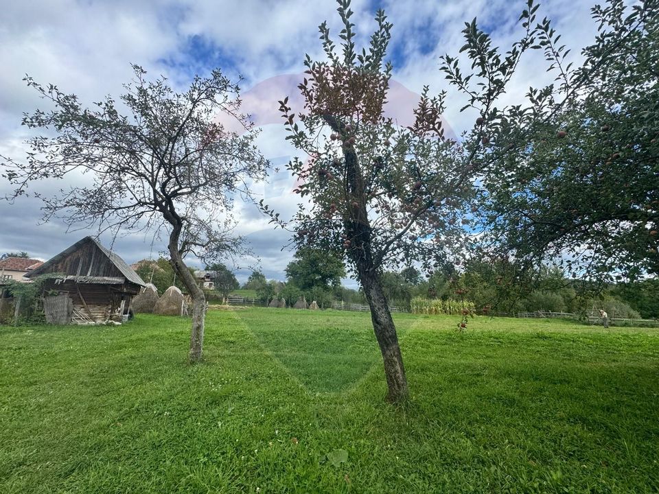 O oportunitate unică în inima naturii — 6.605 mp în Cândești