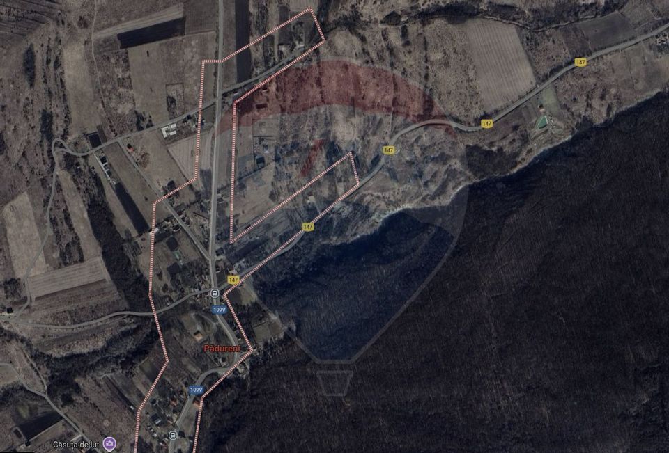 Land 2,556sqm Padureni (Chinteni) / Drumul DC147