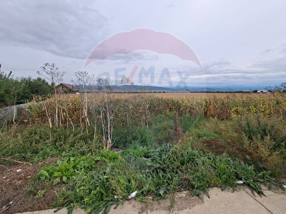 Teren  5.000 mp – strada Tineretului, orașul Buhuși