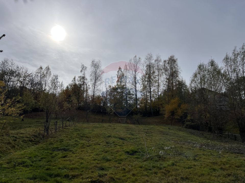 Teren de Vis în Bran – 1000mp Plat, Liniște Absolută și Aer Curat