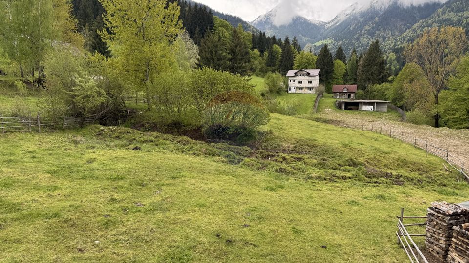 Land 2,770sqm Borsa / Strada Bradet