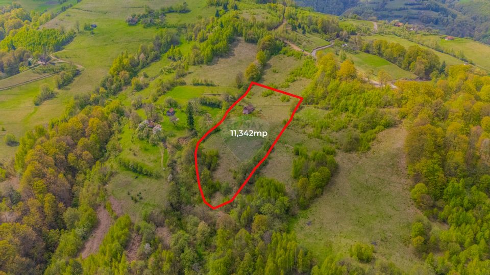 Teren 11,342 mp Poiana Marului /Extravilan/Oportunitate investiție
