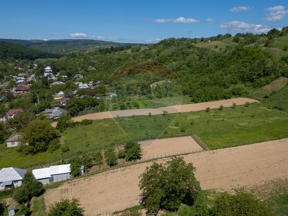 Teren 11.317 mp situat in Parava - Dragusani - Bacau