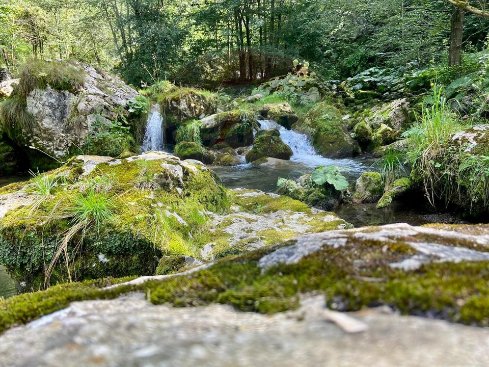 2 room House / Villa for sale