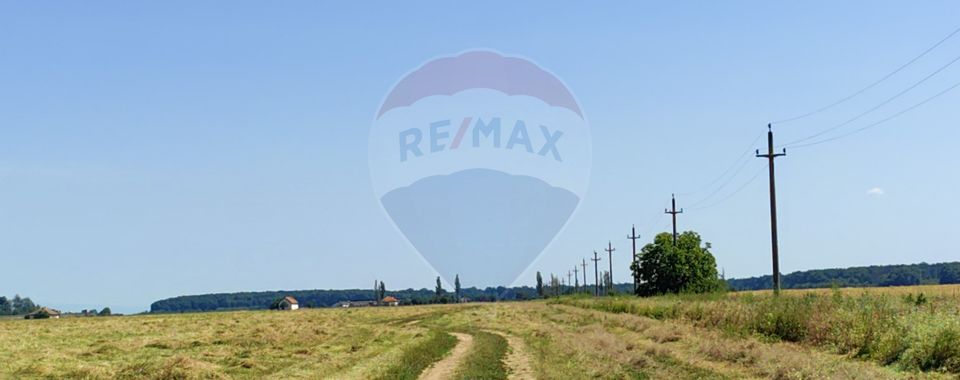 Land 10,535sqm Snagov / Strada Tarla 132