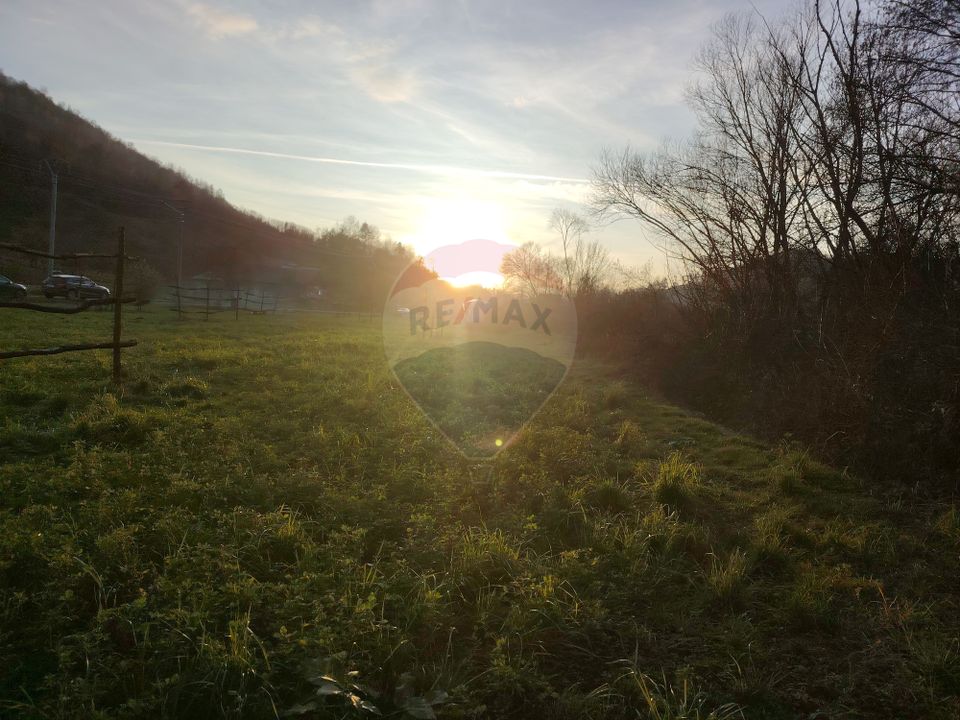 COMISION 0%  Teren intravilan de vanzare in Barsana (26 ARI)