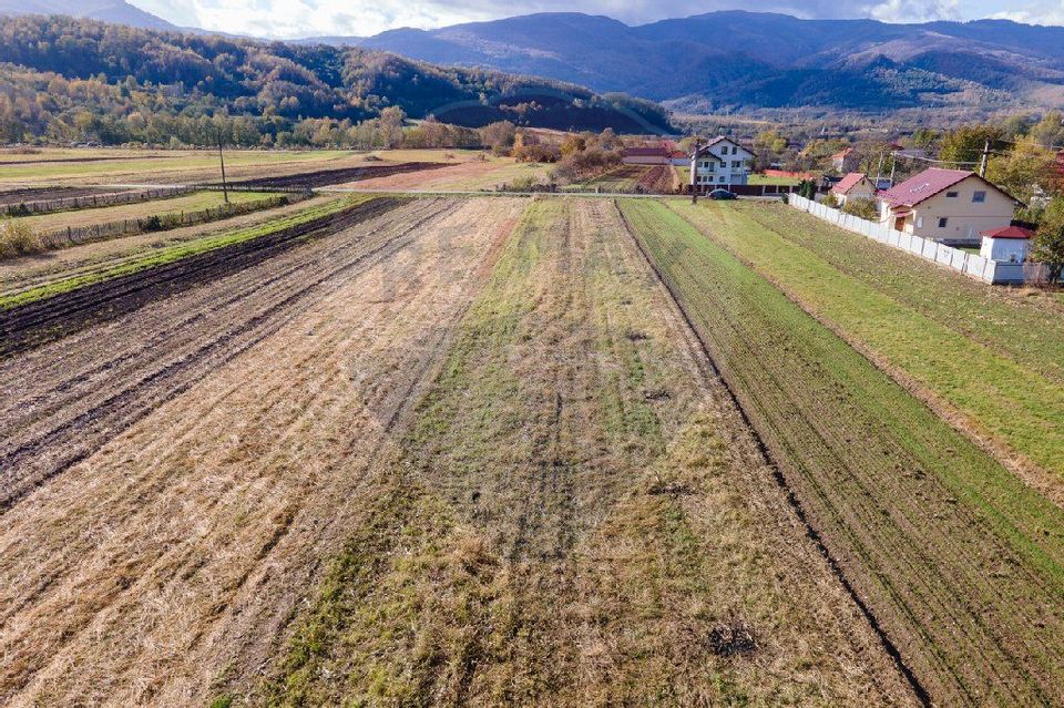 Land 2,833sqm Baru / Intrarea Petros