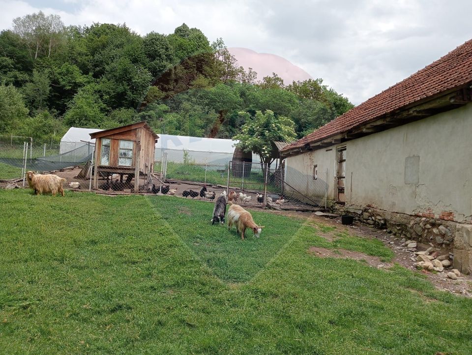 Vanzare casa  4 camere-microferma, cu panouri fotovoltaice
