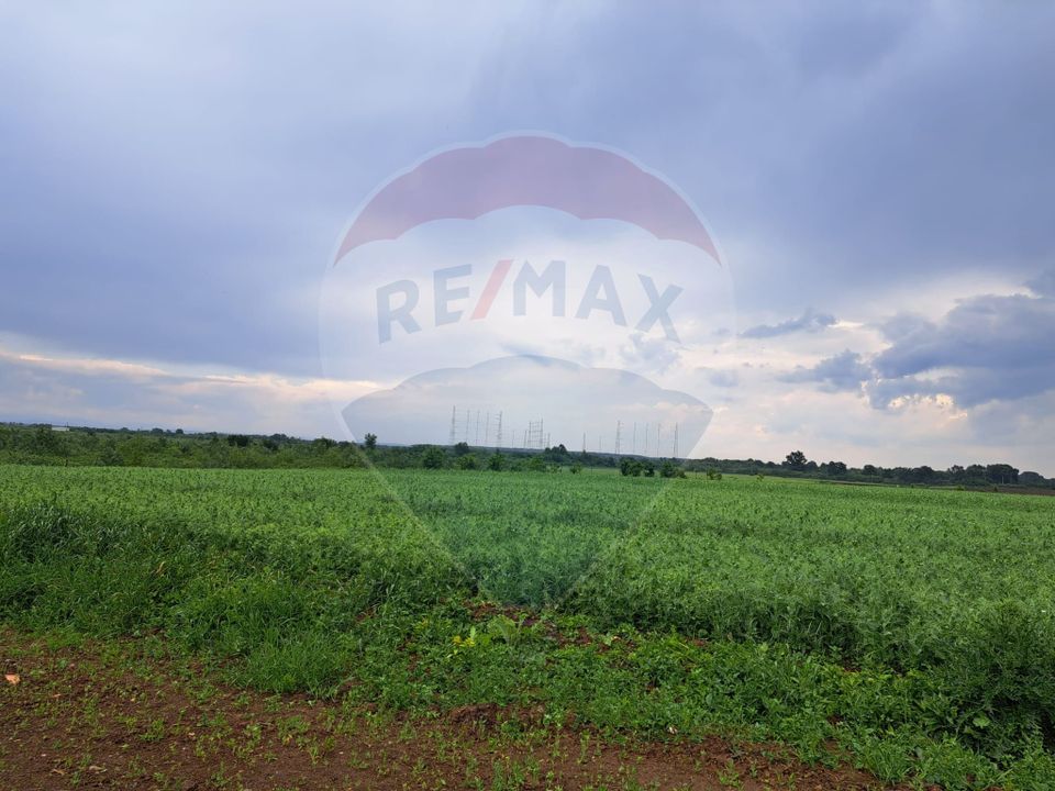 Teren Ciolpani 15.000 mp oportunitate posibilitate lotizare 5000 mp