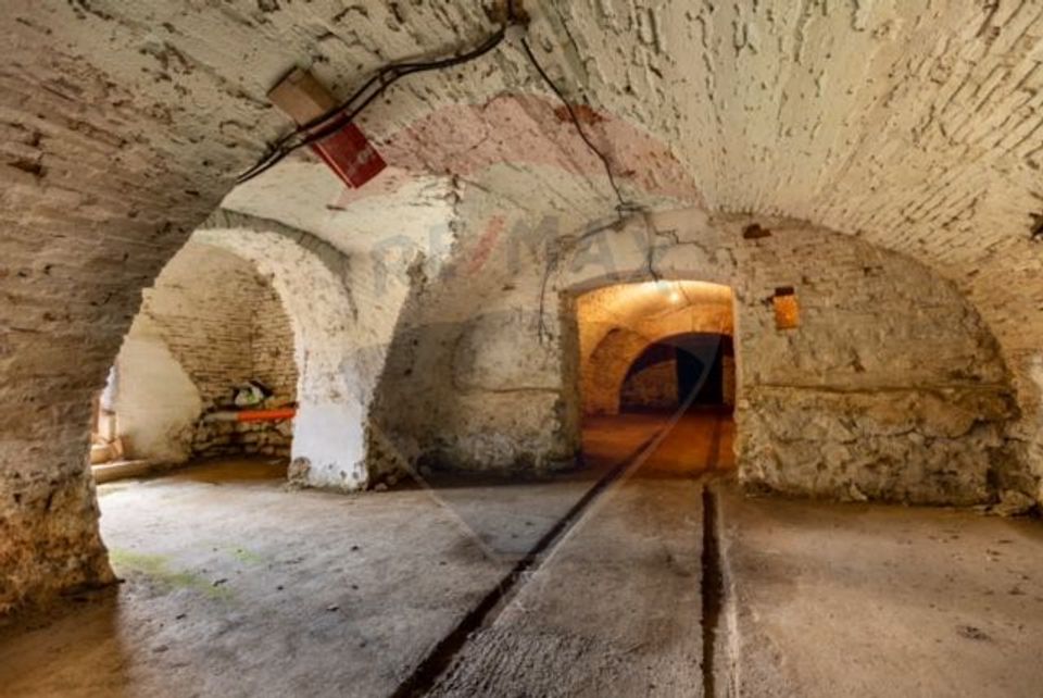 10 room House / Villa for sale