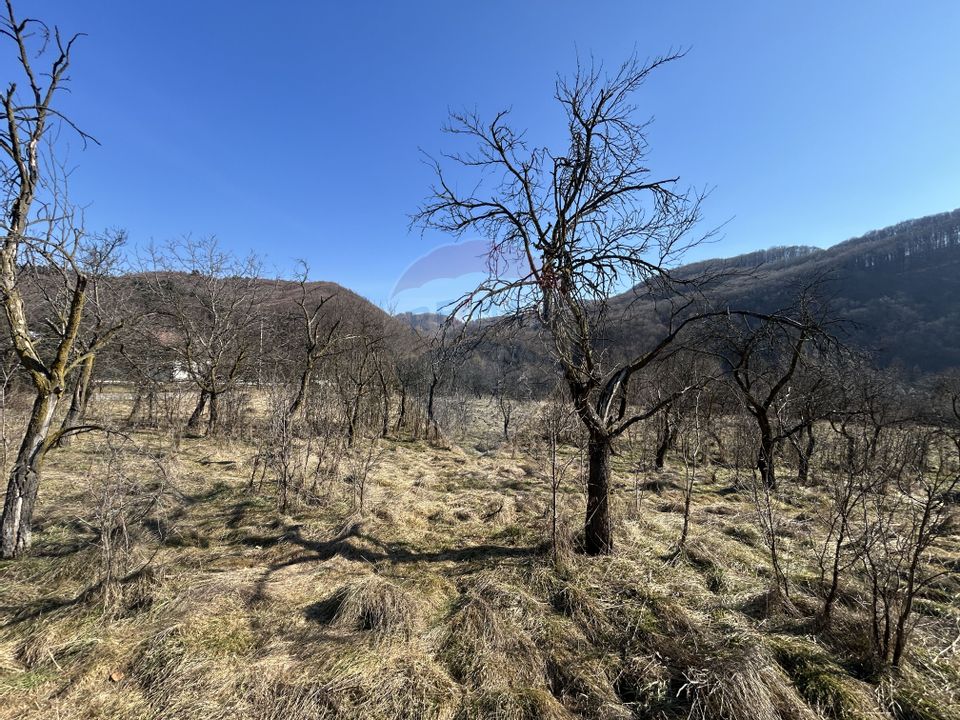 Teren intravilan 1,438mp Baia Mare / Strada Arinului Ferneziu