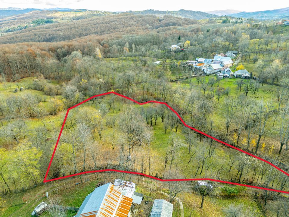 Teren intravilan 4384 mp – Comuna Talea,  județul Prahova