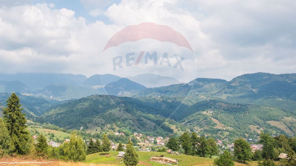 Teren extravilan Moieciu 45316mp