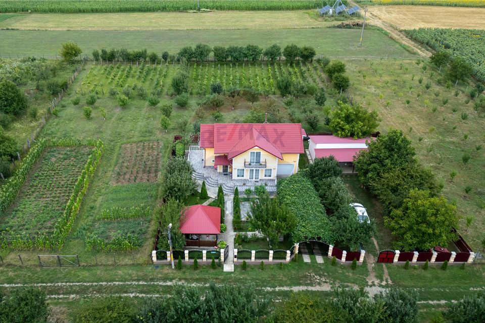 Vila / casa de vanzare in jud. Bacau, Ungureni