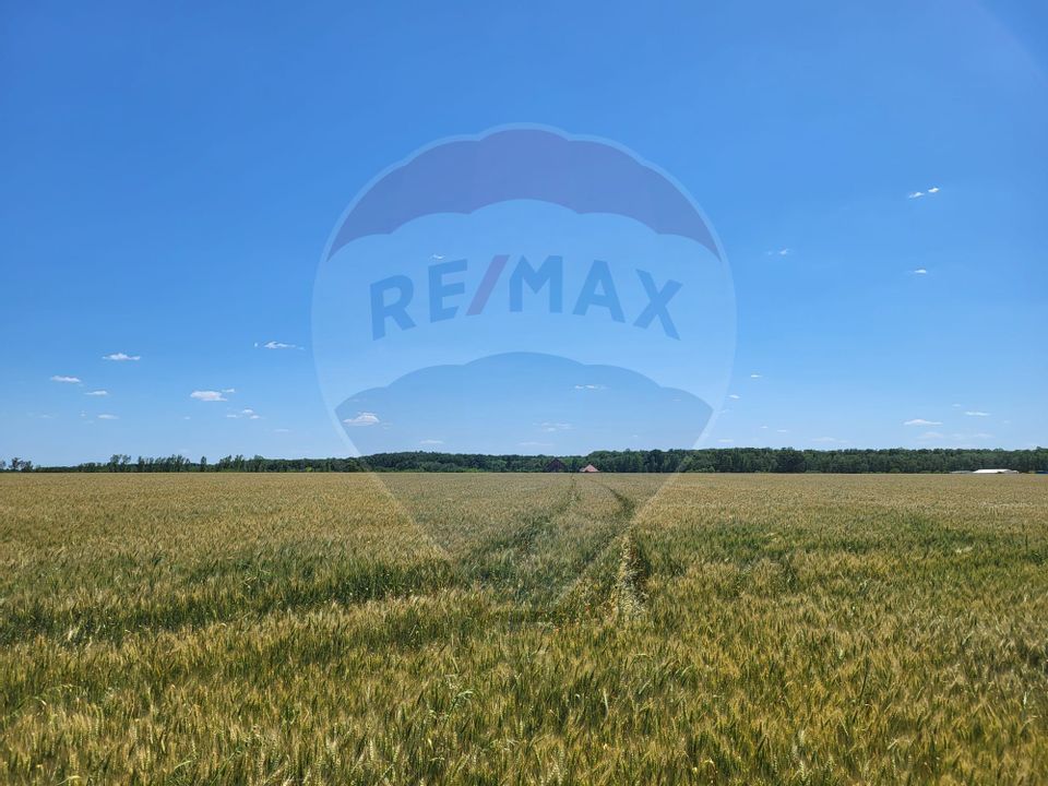 Land 5,000sqm Peris / Drumul tarla