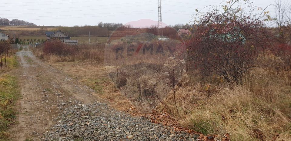 Land 1,000sqm Fantanele (Hemeius) / Strada Liliacului