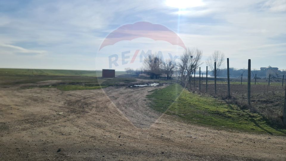Land plot 14,815sqm for sale in Vidra, Ilfov county - Investment