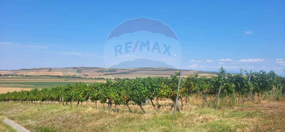 Land 70,000sqm Maderat / Strada principala