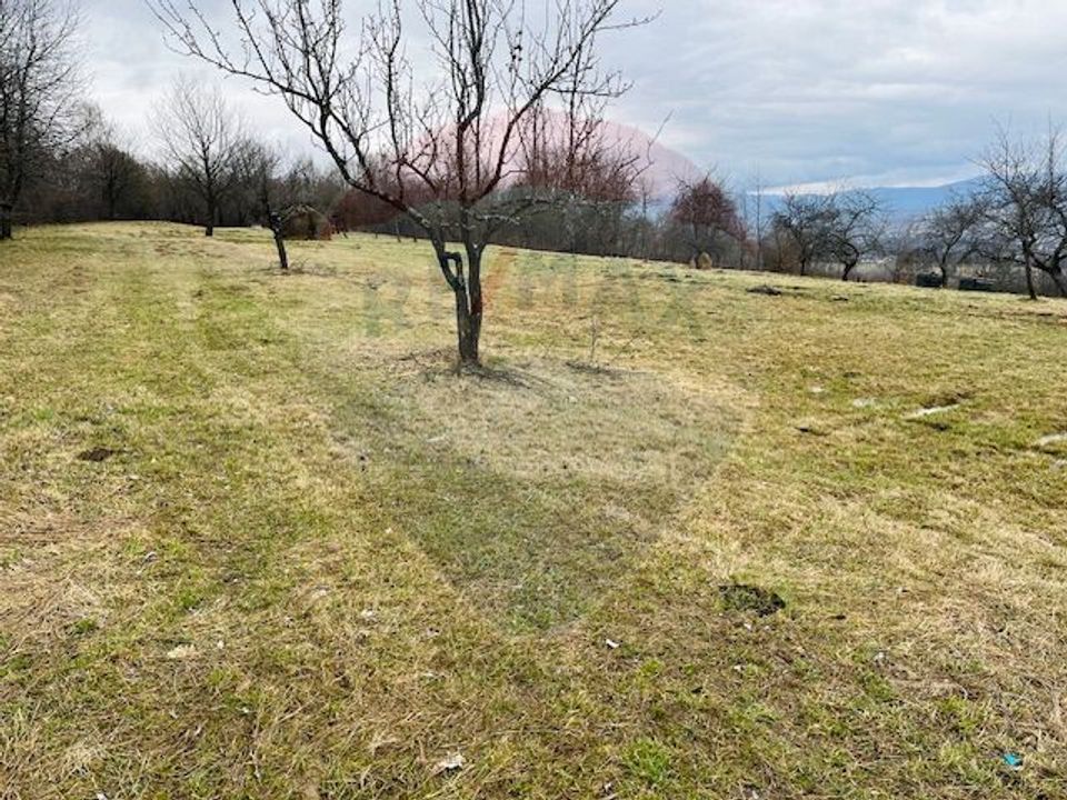 Teren 5,565mp Giulesti / Strada PRINCIPALA