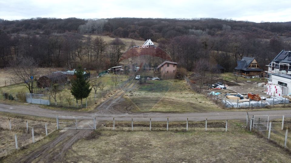 Land 999sqm Floresti / Strada Valea Garbaului