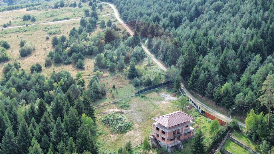 Teren Sacele / Strada Valea Larga 2000 mp